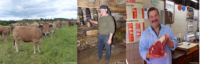 De gauche à droite : L'automne marque la fin de la transhumance. Les troupeaux ont quitté les estives dans l’attente du prochain printemps ; Visite de l’exploitation de Christian Bonal éleveur de bœuf fermier d’Aubrac à Saint Côme d'Olt; la viande un goût et une tendresse incomparable vendue par les meilleurs artisans bouchers comme la maison Lucien Conquet à Laguiole. © Yann Menguy De gauche à droite : L'automne marque la fin de la transhumance. Les troupeaux ont quitté les estives dans l’attente du prochain printemps ; Visite de l’exploitation de Christian Bonal éleveur de bœuf fermier d’Aubrac à Saint Côme d'Olt; la viande un goût et une tendresse incomparable vendue par les meilleurs artisans bouchers comme la maison Lucien Conquet à Laguiole. © Yann Menguy