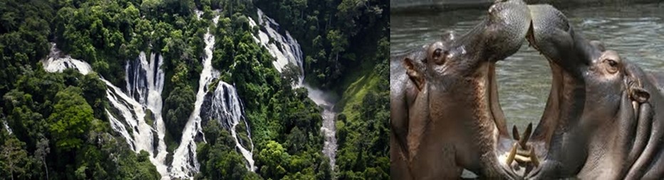 Akwaba, bienvenue en Côte d’Ivoire !