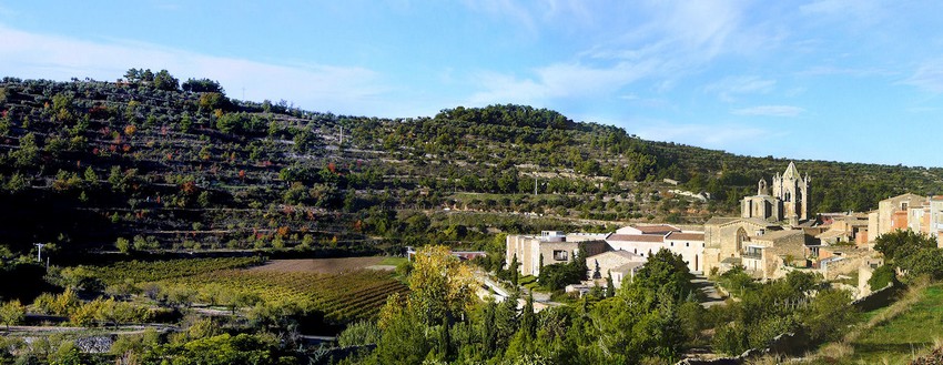 La Route cistercienne de Catalogne, une spiritualité inscrite dans la pierre.