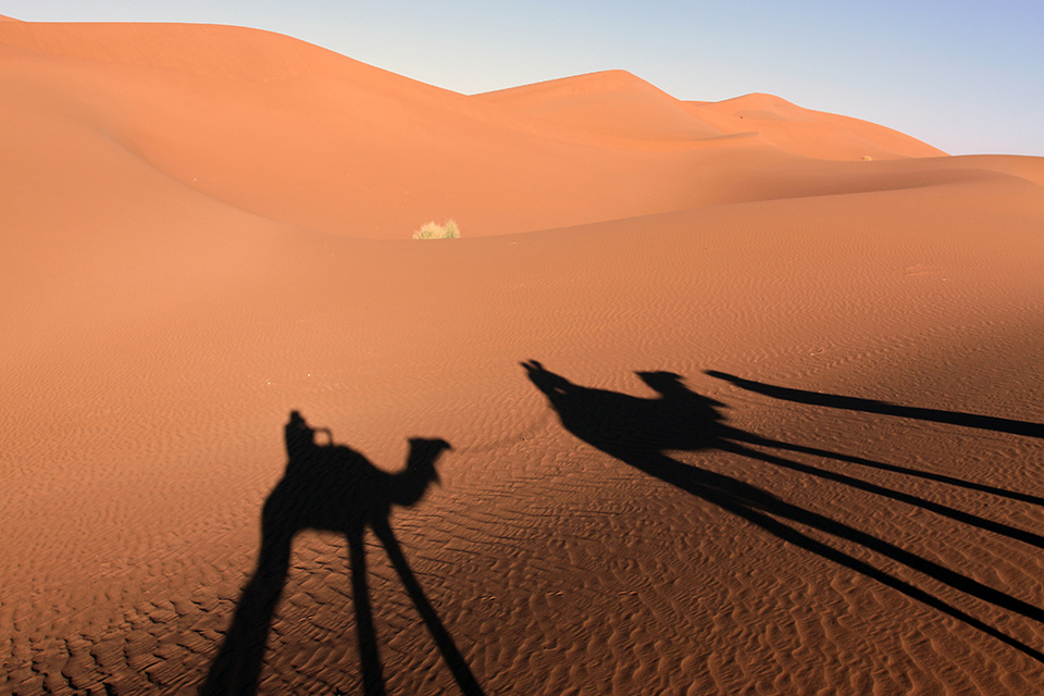 Dunes de Chigaga @ David Raynal Dunes de Chigaga @ David Raynal
