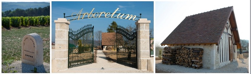 Contigu à son Clos Rocher, Jean-Michel en bon père bâtisseur a eu l’idée originale de créer un arboretum © David Raynal Contigu à son Clos Rocher, Jean-Michel en bon père bâtisseur a eu l’idée originale de créer un arboretum © David Raynal