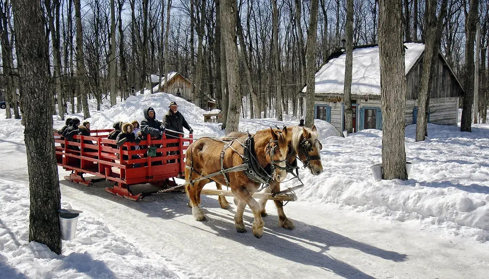 Alors que l’hiver cède doucement sa place au printemps, la région de Montréal au Québec célèbre l’un des temps forts de la saison : le temps des sucres. La fête peut alors commencer dans les cabanes à sucre bondées et transformées en auberges © La Sucrerie de la Montagne. Alors que l’hiver cède doucement sa place au printemps, la région de Montréal au Québec célèbre l’un des temps forts de la saison : le temps des sucres. La fête peut alors commencer dans les cabanes à sucre bondées et transformées en auberges © La Sucrerie de la Montagne.