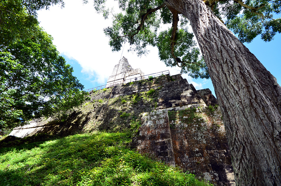 Le Parc national de Tikal s’étend sur 60 000 ha © David Raynal. Le Parc national de Tikal s’étend sur 60 000 ha © David Raynal.