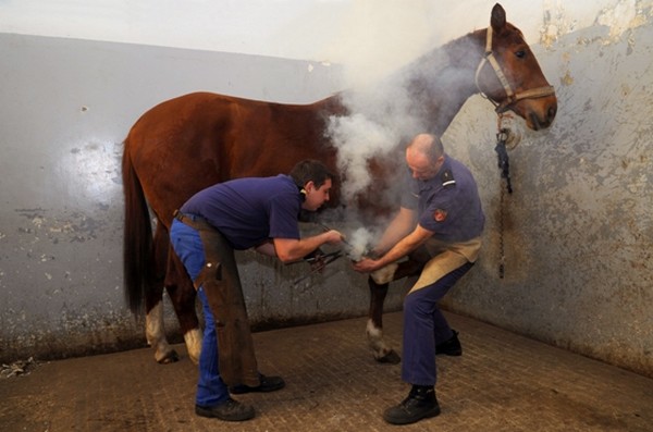 La forge où sont ferrés les chevaux. © Garde Républicaine