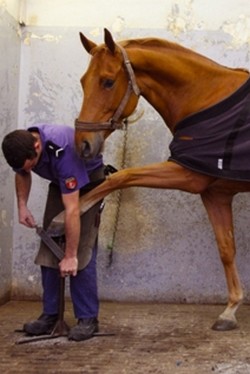 Dans la forge limage des sabots des chevaux de la Garde Républicaine. © Garde Républicaine