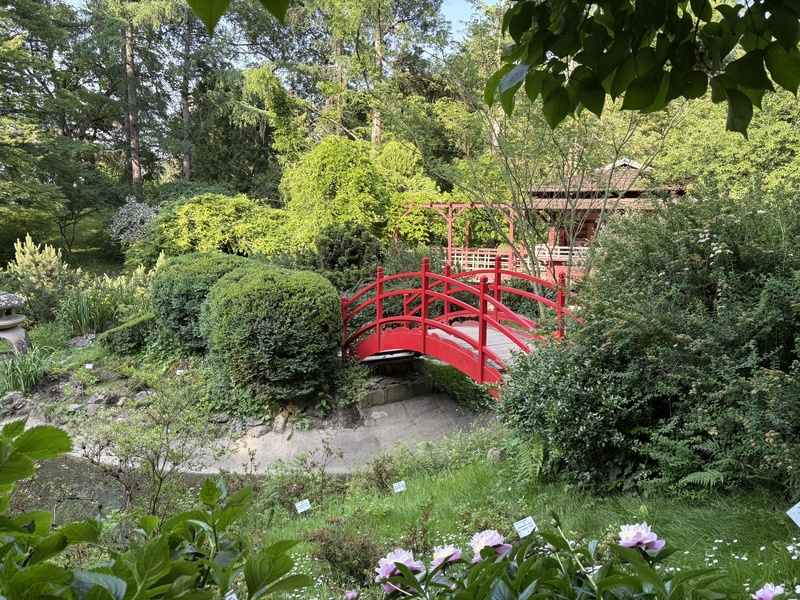 le jardin botanique @C.Vautrin