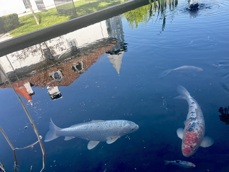 Hôtel 5 Étoiles Aix-les-Bains : Château Brachet, Escapade Belle Époque en Savoie Hôtel 5 Étoiles Aix-les-Bains : Château Brachet, Escapade Belle Époque en Savoie