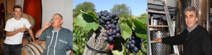 Thomas Colson et Rémy Welter, les deux associés du « Domaine de L’Ambroisie » à Toul (54). ©Bertrand Munier ; Le vin côtes-de-Toul rouge profite du pinot noir. ©Bertrand Munier ; Jean-Paul Paquet du domaine mosellan « Le Mur du Cloître » présentera ses vins lors de ce salon. ©Bertrand Munier