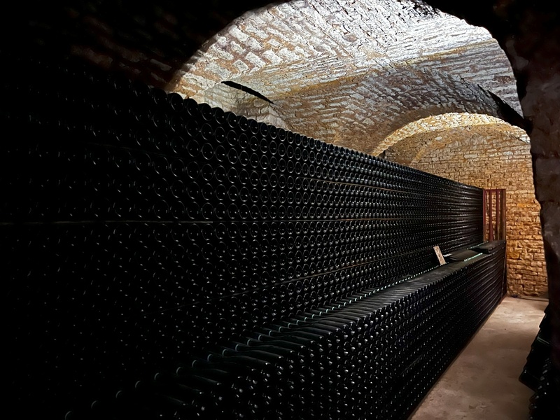 Pour la plupart dits « de vignerons », les champagnes aubois glorifient essentiellement le pinot noir, qui couvre 85% du vignoble, essentiellement situé sur la Côte des Bar (-sur-Aube et -sur-Seine)