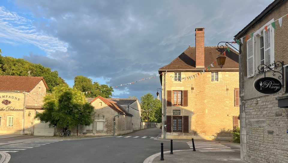 Pour la plupart dits « de vignerons », les champagnes aubois glorifient essentiellement le pinot noir, qui couvre 85% du vignoble, essentiellement situé sur la Côte des Bar (-sur-Aube et -sur-Seine)