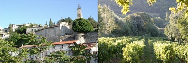 Et puis il y ces fameux villages d’Art et d’Histoire comme la haute ville de  Vaison-La-Romaine dominée par la Tour de l'horloge  et bien sûr le village de Rasteau. © Mairie de Vaison-La-Romaine