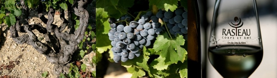 Ici, les vins sont généreux et charnus, charpentés mais subtils, fruités et complexes, et sont (c’est le syndicat qui le dit) à l’image des hommes et des femmes qui les font « intenses et sincères avec richesse et finesse ». © Richard Bayon Ici, les vins sont généreux et charnus, charpentés mais subtils, fruités et complexes, et sont (c’est le syndicat qui le dit) à l’image des hommes et des femmes qui les font « intenses et sincères avec richesse et finesse ». © Richard Bayon