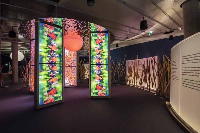 ViaSensoria. Pavillon de l'Automne ©ANAKA ViaSensoria. Pavillon de l'Automne ©ANAKA