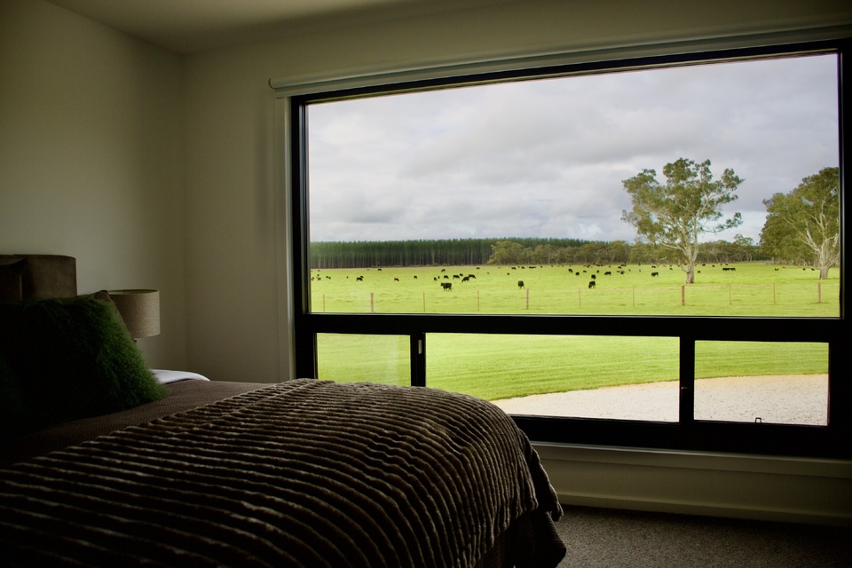 vue sur la nature et les animaux vue sur la nature et les animaux