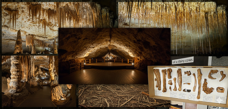 Naracoorte Caves