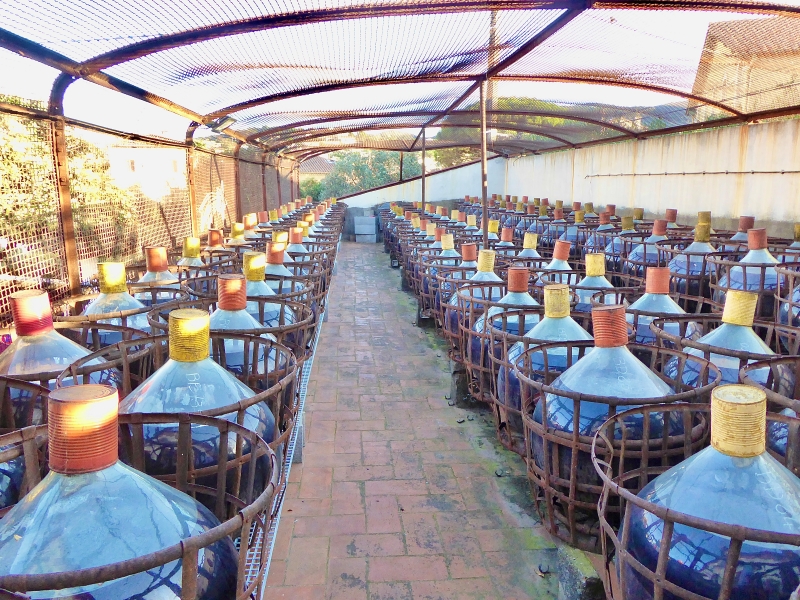 Le banyuls vieillissant en bombonnes de verre. ©Catherine Gary