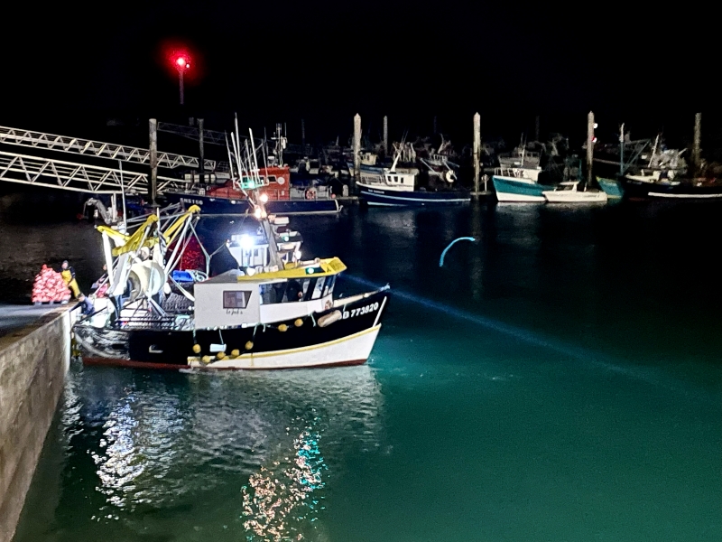 Soumise a une saisonnalité rigoureuse d’octobre à avril, en dehors des périodes de reproduction, la pêche à la coquille Saint-Jacques de la Baie de Saint-Brieuc génère 500 emplois directs et 1500 indirects.