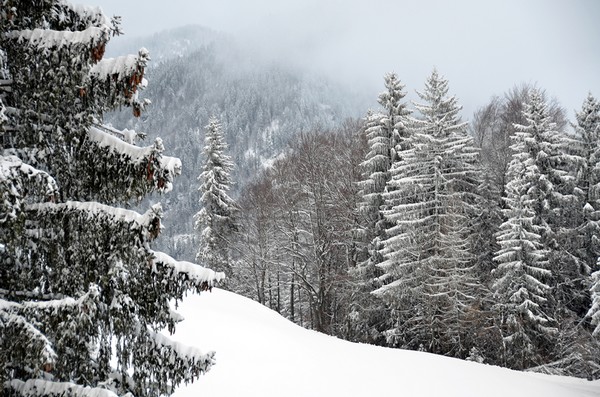 Le village des "Balcons du Mont Blanc" porte bien son nom en hiver... Et fait la joie de tous ceux qui viennent s'entraîner aux plaisirs de la glisse et des randonnées en raquette....© David Raynal Le village des "Balcons du Mont Blanc" porte bien son nom en hiver... Et fait la joie de tous ceux qui viennent s'entraîner aux plaisirs de la glisse et des randonnées en raquette....© David Raynal