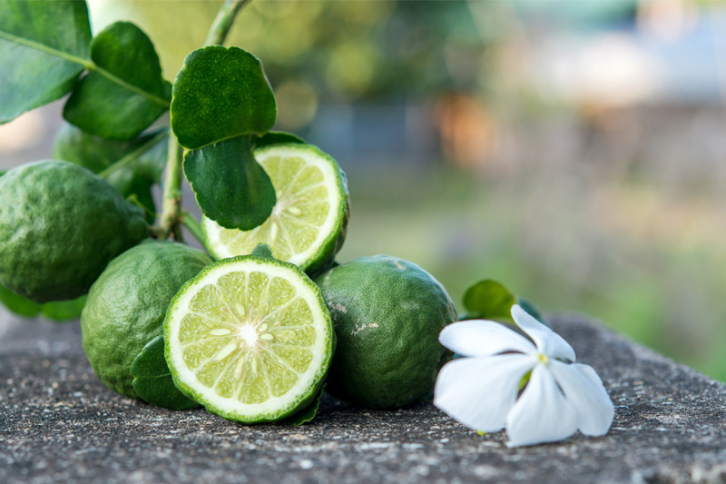 La bergamote de Calabre ; 80% de la production mondiale ©Regione Calabria