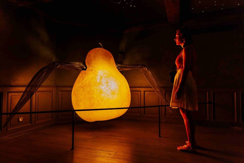 La fameuse poire articulée. Les Maisons Satie®SMA76T La fameuse poire articulée. Les Maisons Satie®SMA76T