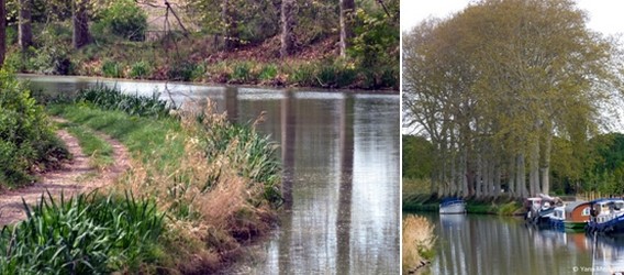 Le Canal du Midi tout en douceur... © David Raynal et © Yann Menguy Le Canal du Midi tout en douceur... © David Raynal et © Yann Menguy
