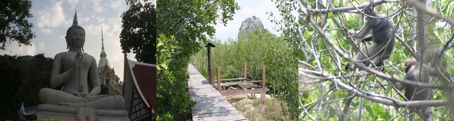 le Parc National de Khao Sam Roi Yot, et les primates nichant dans des arbres avec leurs petits, en bas de Khao Deng. © Richard Bayon le Parc National de Khao Sam Roi Yot, et les primates nichant dans des arbres avec leurs petits, en bas de Khao Deng. © Richard Bayon