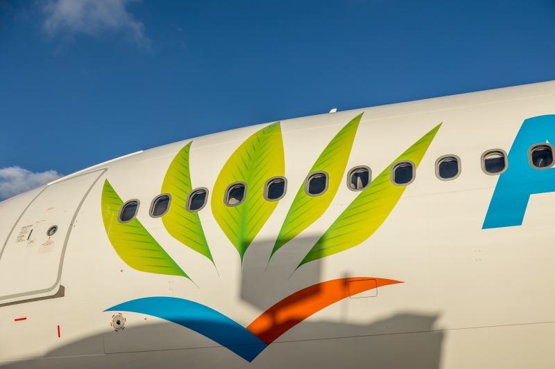 Logo AIR CARAïBES : l’arbre du voyageur (PMH)