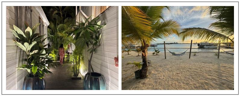 Restaurant-Hôtel Le TEMPS des CERISES (RB)et la Plage de l’HOMMAGE HOTEL