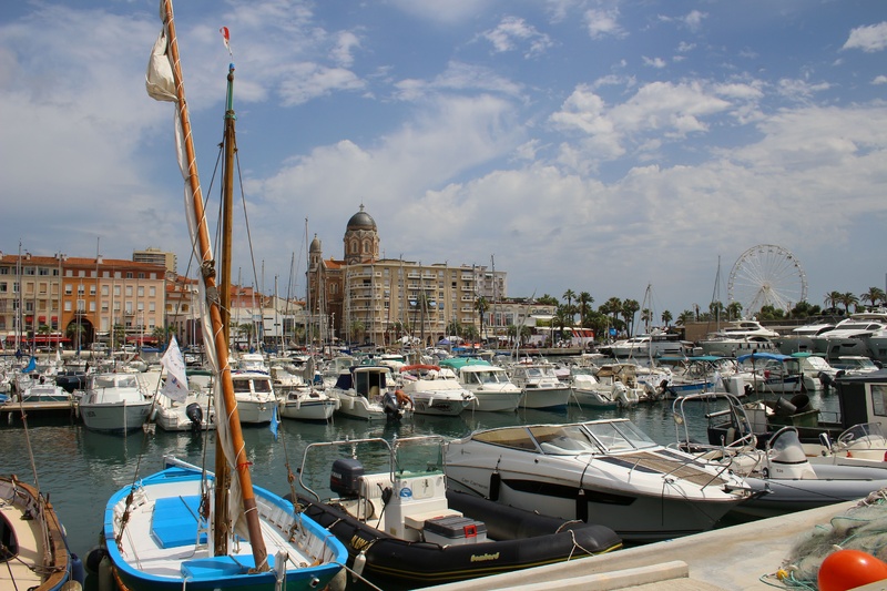 PLUS FORT ENCORE QUE LE SYSTÈME SOLAIRE, LA ROUTE DU MIMOSA S’ILLUMINE D’UN MILLIARD DE DUVETEUX SOLEILS PLUS FORT ENCORE QUE LE SYSTÈME SOLAIRE, LA ROUTE DU MIMOSA S’ILLUMINE D’UN MILLIARD DE DUVETEUX SOLEILS