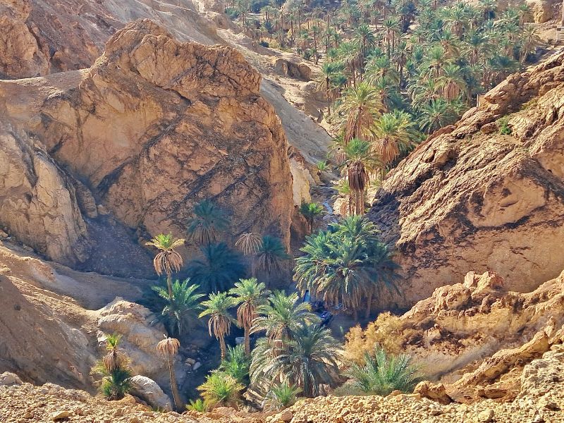 Chebika et son dédale de roches perchées et de palmiers ©Catherine Gary