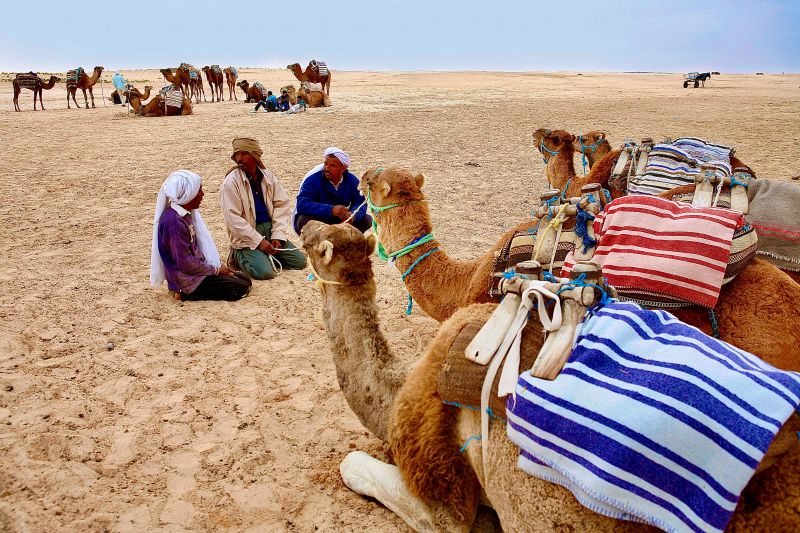 Moment de repos des caravanes de dromadaires dans le désert ©ONTT