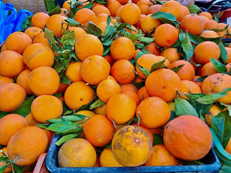 Au marché de Tozeur le matin ©Catherine Gary