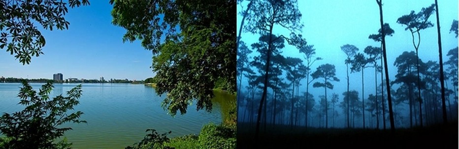 De gauche à droite des paysages de rêve : 1/ Vue sur Khon Kaen et découverte d' une forêt magique  à Phitsanulok © VisitThaïlande