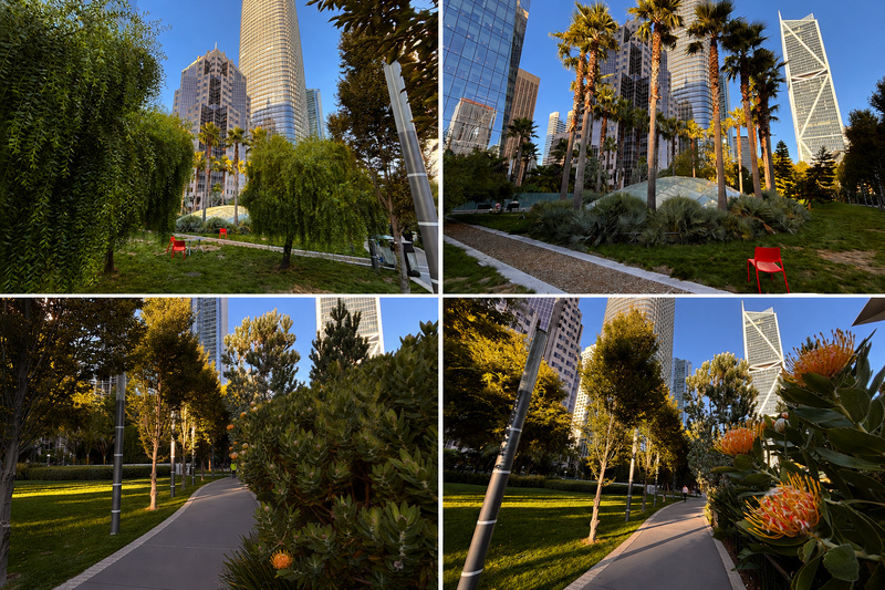 Un parc arboré avec la Salesforce Tower en ligne d'horizon
