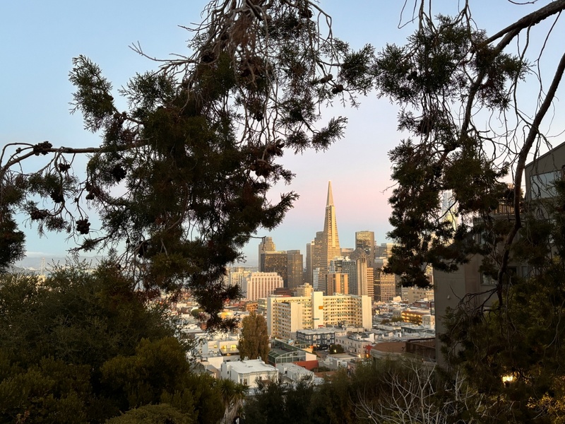 San Francisco, l’émerveillement permanent ! San Francisco, l’émerveillement permanent !