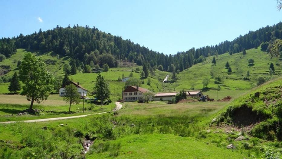 Dans le cadre bucolique de la vallée bressaude du Chajoux… le Gaec du Saichy. ©Bertrand Munier Dans le cadre bucolique de la vallée bressaude du Chajoux… le Gaec du Saichy. ©Bertrand Munier