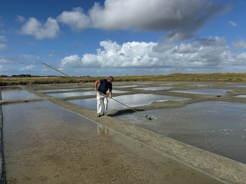 Île de NOIRMOUTIER : douce et lumineuse