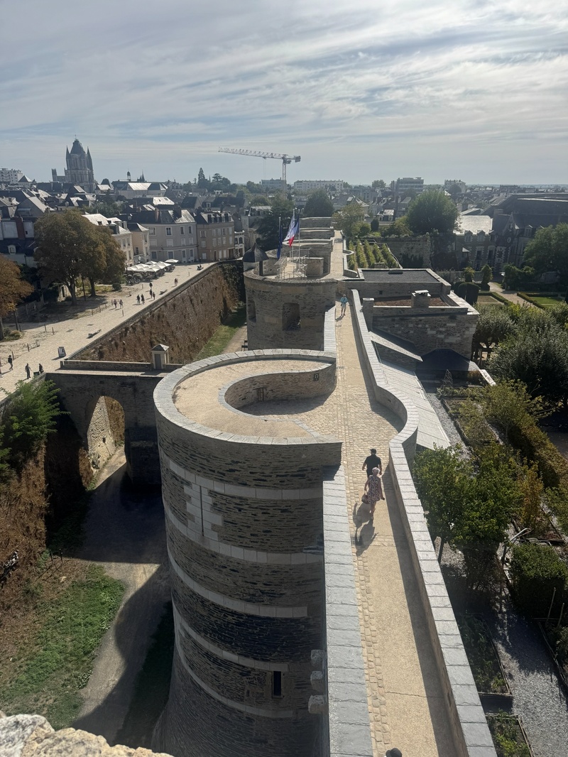 Angers : une tour au sommet