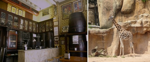 De gauche à droite : Tapas à la Bodega Casa Montana. Délicieux assortiment dans l’ambiance chaleureuse du quartier de Cabanyal ; Visite du Bioparc.© Catherine Gary De gauche à droite : Tapas à la Bodega Casa Montana. Délicieux assortiment dans l’ambiance chaleureuse du quartier de Cabanyal ; Visite du Bioparc.© Catherine Gary