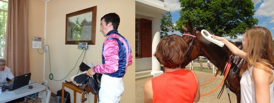 À Vittel comme partout en France, les jockeys sont assujettis à des contrôles stricts comme lors de la signature de leur engagement et leur poids (avant et après la course) ©Bertrand Munier ; Il en est de même pour les chevaux qui sont examinés par un vétérinaire avec l’aide d’un transpondeur électronique pour éviter toutes fraudes éventuelles. ©Bertrand Munier À Vittel comme partout en France, les jockeys sont assujettis à des contrôles stricts comme lors de la signature de leur engagement et leur poids (avant et après la course) ©Bertrand Munier ; Il en est de même pour les chevaux qui sont examinés par un vétérinaire avec l’aide d’un transpondeur électronique pour éviter toutes fraudes éventuelles. ©Bertrand Munier