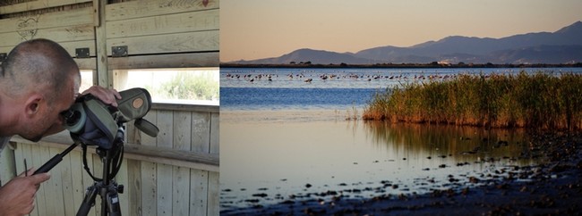 Dans ce vaste étang préservé du Languedoc-Roussillon,  on y vient observer plus de 246 espèces d’oiseaux dont 200 migrateurs. © Catherine Gary et OT Canet-en-Roussillon