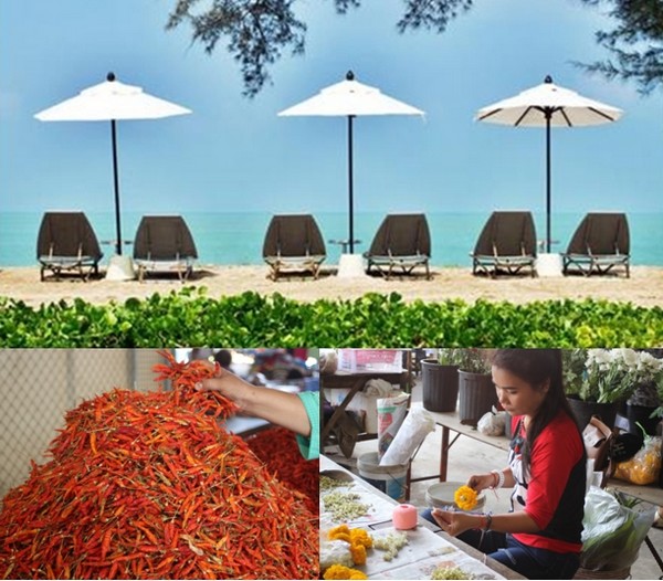 Les parasols et les transats de l'Hôtel attendent les clients . Visite du marché « Bang Niang ». © Patrick Cros Les parasols et les transats de l'Hôtel attendent les clients . Visite du marché « Bang Niang ». © Patrick Cros