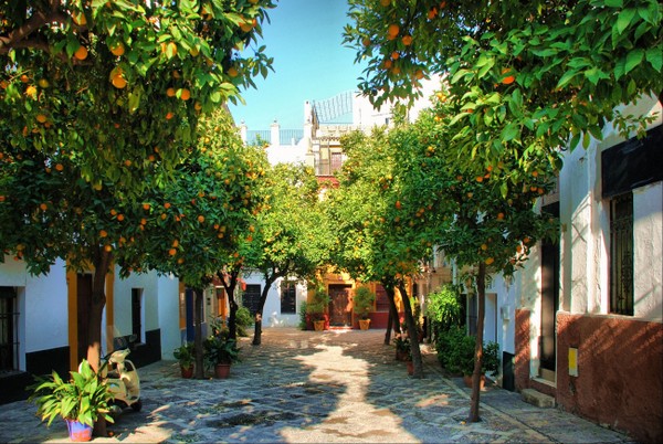 Séville , ici à Santa Cruz, vous accueille dans la douceur de ses jardins d’orangers, la fraîcheur de ses patios débordants de fleurs  © Lindigomag/Pixabay.com