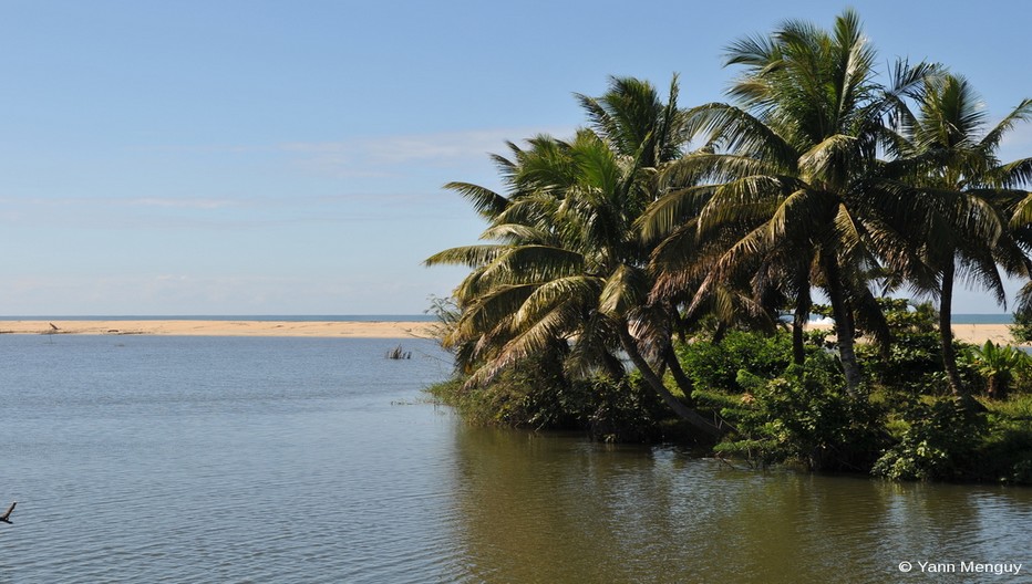 Madagacar une île-continent à la biodiversité et aux paysages uniques. © Yann Menguy