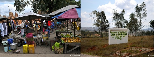 De gauche à droite : Marché à Tamatave © Yann Menguy ; Producteur de foie gras  © Yann Menguy