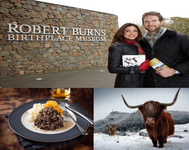 Musée dédié à Robert Burns ; Le traditionnel plat de haggis ; Les magnifiques vaches écossaises font partie du paysage hivernal ; © www.visitscotland.com/fr