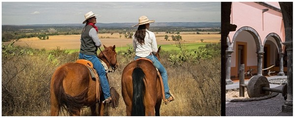 A Tequila en Jalisco des randonnées itinérantes de quelques jours vous permettront de partir à la découverte de plusieurs haciendas, des exploitations agricoles.© www.visitmexico.com