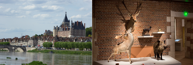 Chateau de la Bussière et Château de la Chasse © C.Gary