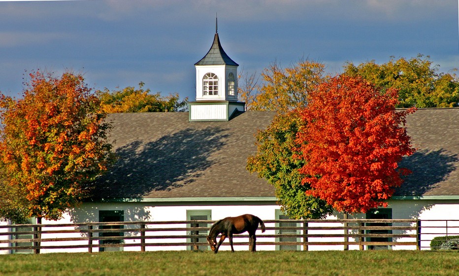 Une ferme à Adena Spring © DR