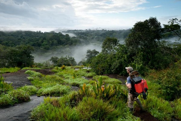 La France et l'Union européenne prennent très au sérieux l’énorme responsabilité qu’ils ont pour assurer la préservation de cet  de forêt amazonienne  © G.FeuilletPAG La France et l'Union européenne prennent très au sérieux l’énorme responsabilité qu’ils ont pour assurer la préservation de cet  de forêt amazonienne  © G.FeuilletPAG